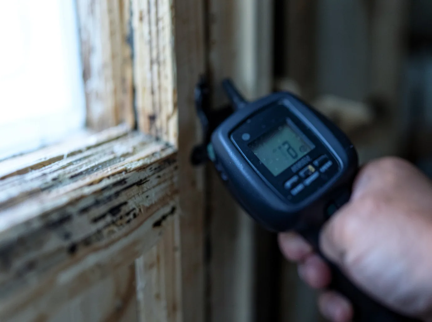 Water Damage Restoration Lutz, FL FAQs